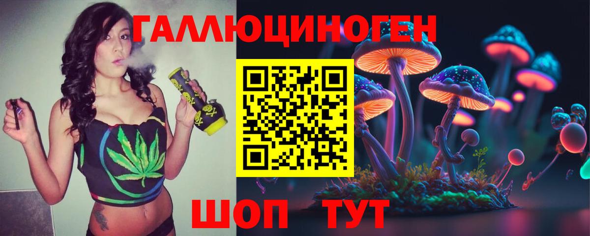 Саки  где продают наркотики  Вход с VPN  Галлюциногенные грибы MAGIC MUSHROOMS 
